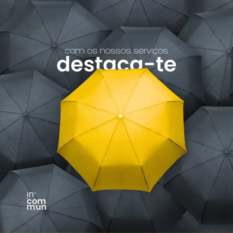 Stewa — Branding, Designing